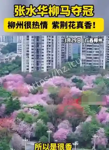 辞职护士张水华